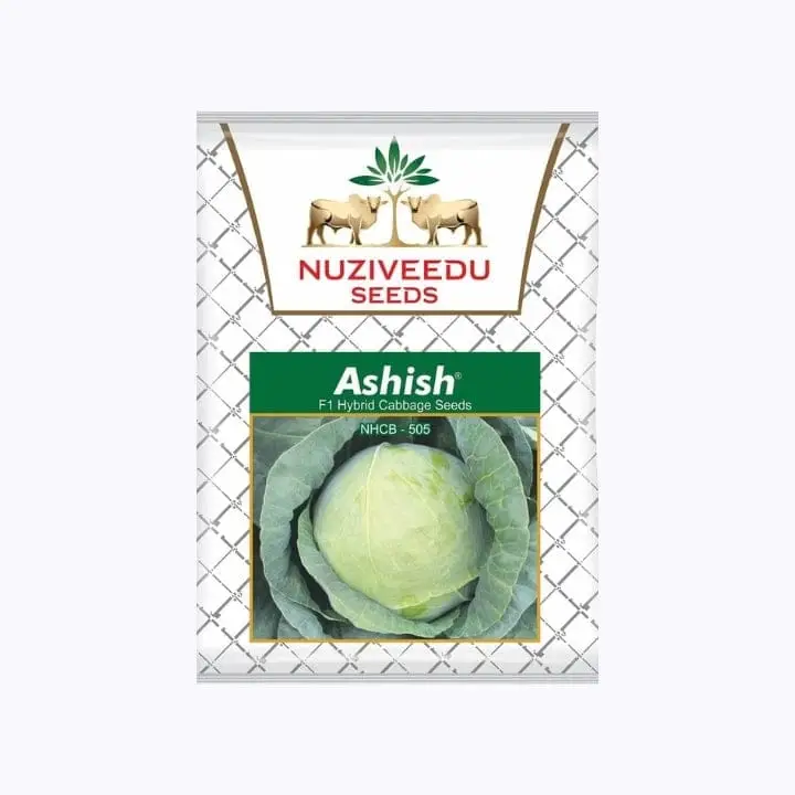 Nuziveedu Ashish NHBC-505 Cabbage Seeds – main view