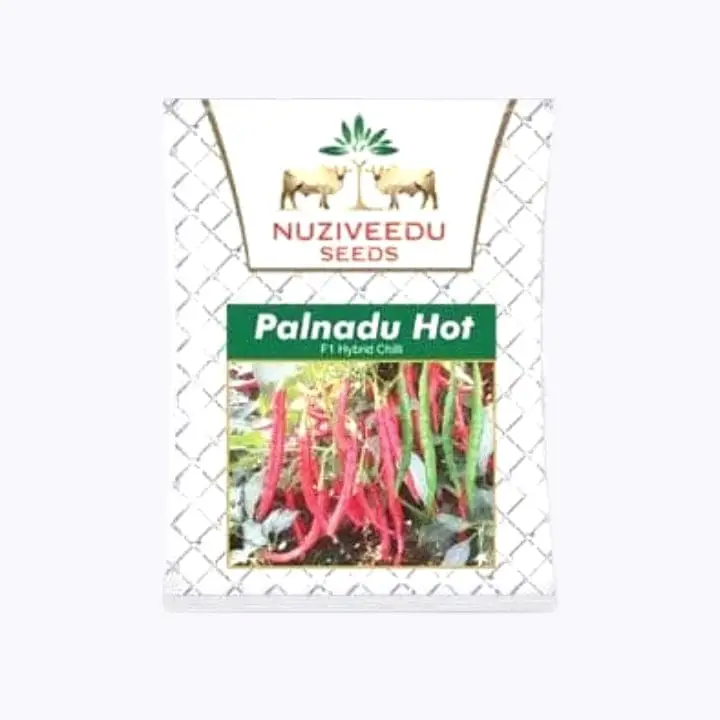 Nuziveedu Palnadu Hot Chilli Seeds – main view