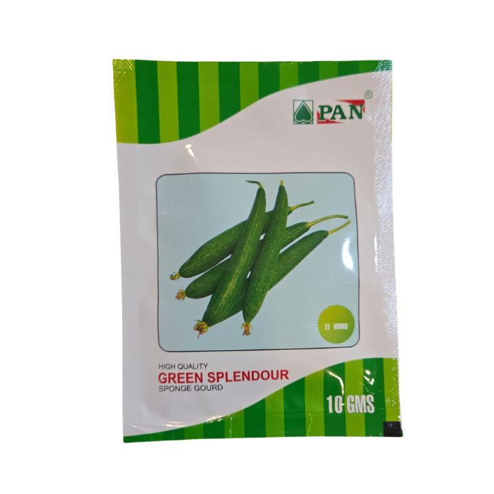 Pan Green Splendour Hybrid Sponge Gourd Seeds
