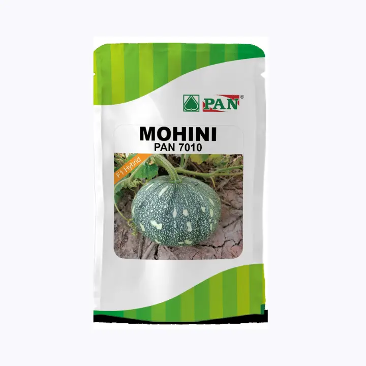 Pan Mohini 7010 Pumpkin  Seeds – main view