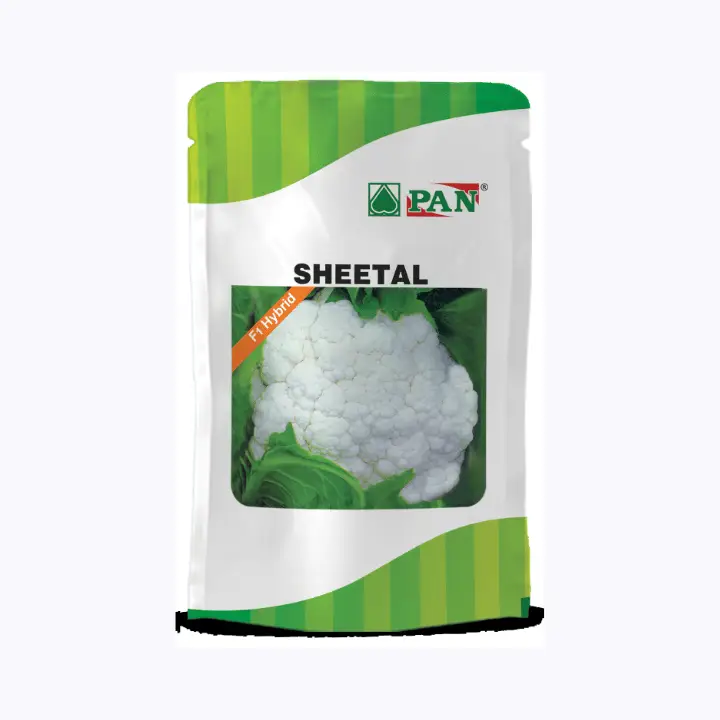 Pan Sheetal Cauliflower seeds – main view