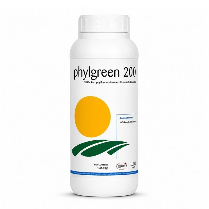 Phylgreen 200 Seaweed Extract Biostimulant
