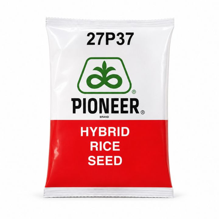 Pioneer 27P37 Hybrid Paddy Seeds