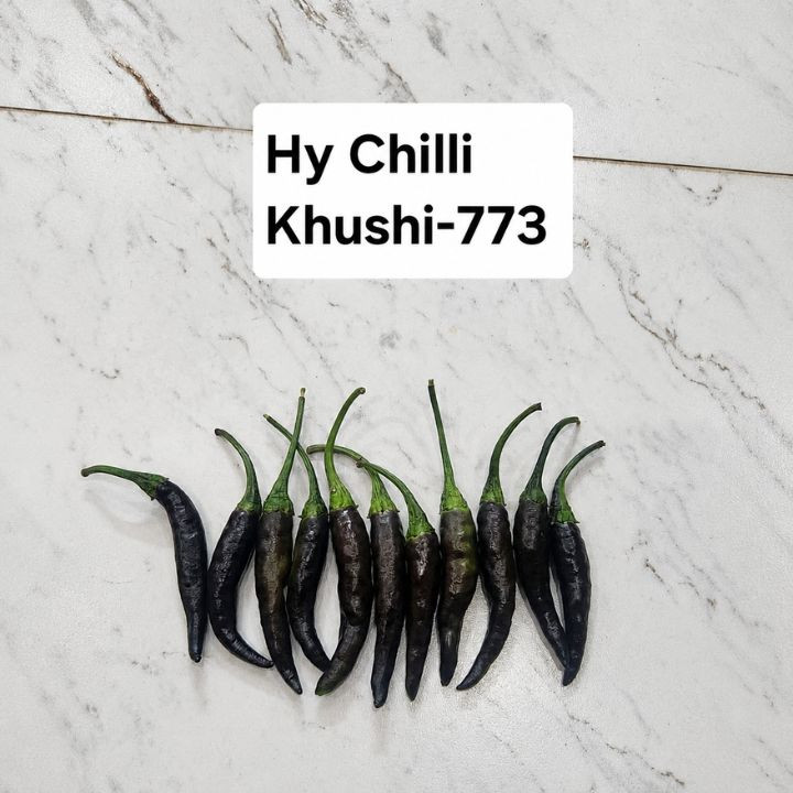 Prajwal Seeds Chilli Khushi-773 – thumb