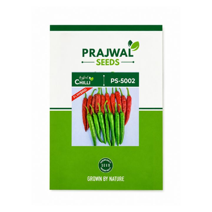 Prajwal Seeds Hybrid Chilli PS-5002 F1 Seeds