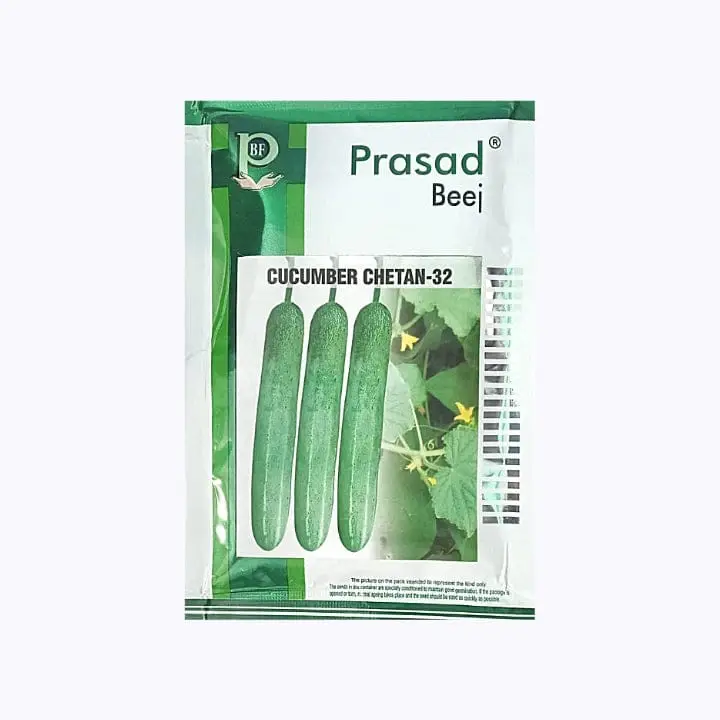 Prasad Chetan-32 Cucumber Seeds – main view