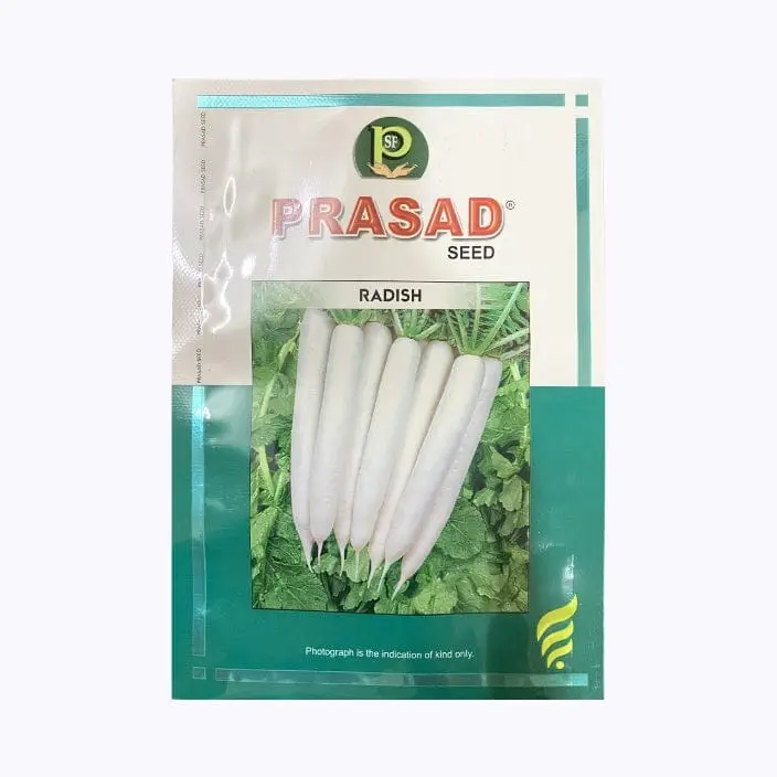 Prasad Early White Radish Seeds – main view