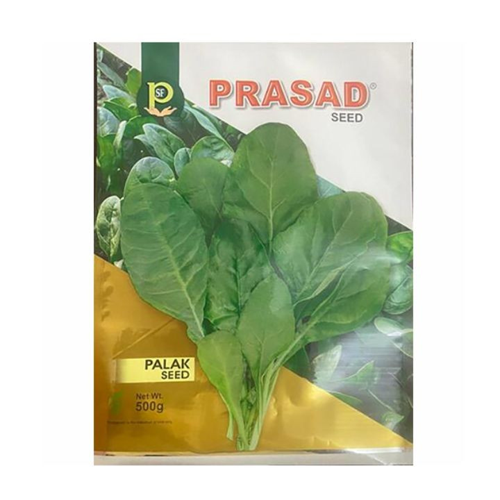 Prasad Seeds Green Queen Palak (Spinacia oleracea) Vegetable Seeds