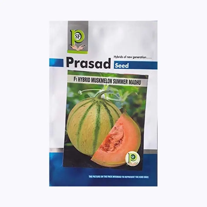 Prasad Summer Madhu Muskmelon Seeds – main view