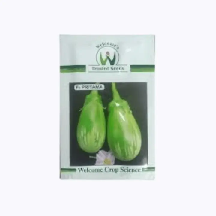 Purushottama F1 Brinjal Seeds