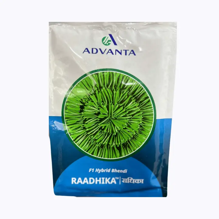 Advanta Raadhika Bhindi Seeds – main view
