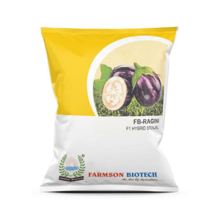 RAGINI 4082 F1 Hybrid Brinjal Seeds