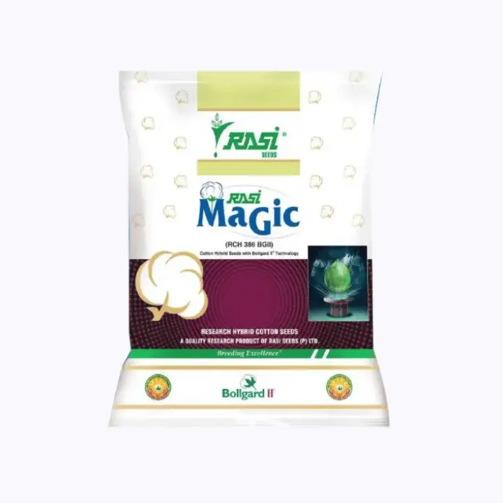Rasi Magic RCH 386 BGII Cotton Seeds – main view