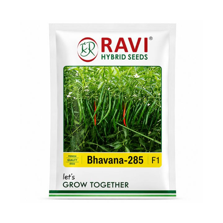Ravi Bhavana-285 Chilli Seeds