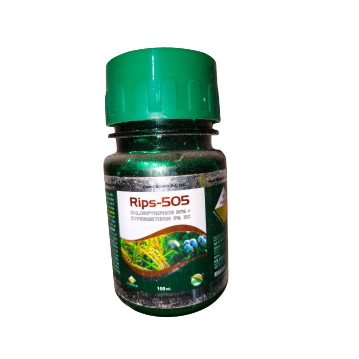 Rips-505 Chlorpyriphos 50% + Cypermethrin 5% EC Insecticide