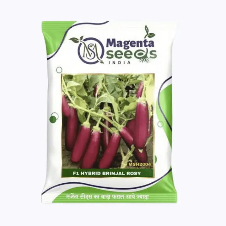 Rosy Hybrid Brinjal Seeds