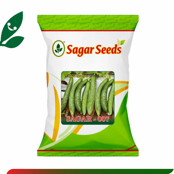 Sagar 007 Cucumber Seeds