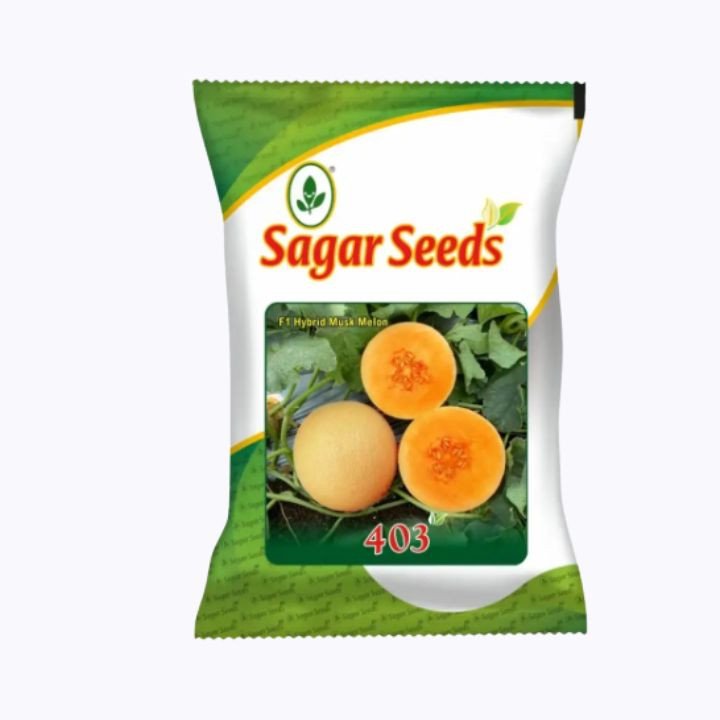 Sagar 403 F1 Hybrid Muskmelon Seeds