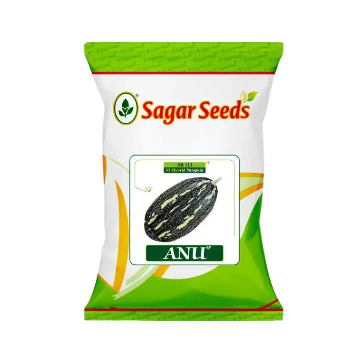 Sagar Anu F1 Pumbkin(50g)