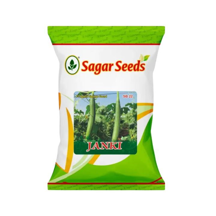 Sagar Janki F1 Spongegaurd (50g)
