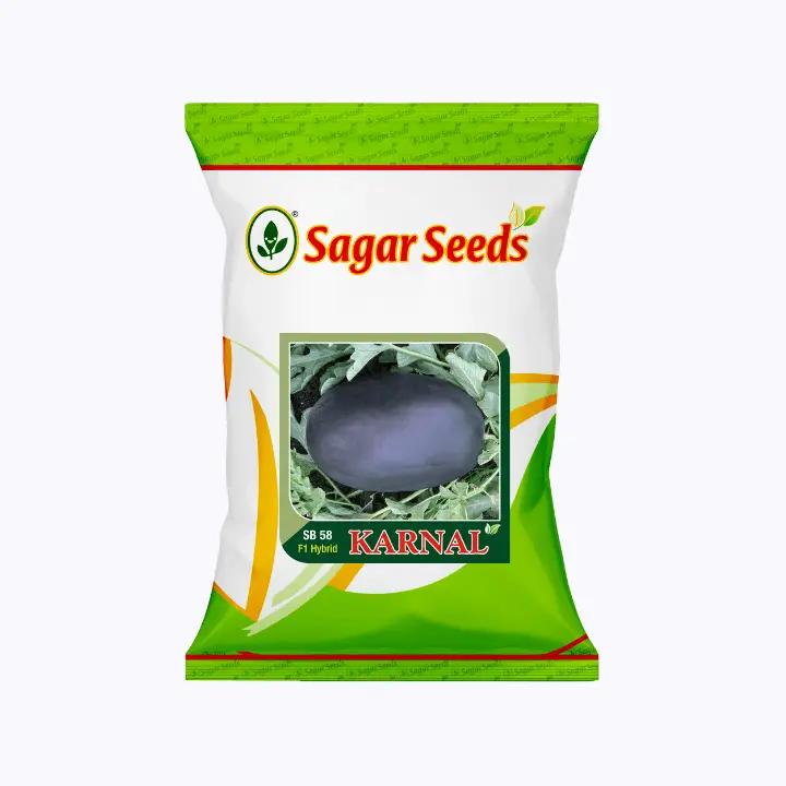 Sagar Karnal F1 Muskmelon Seeds