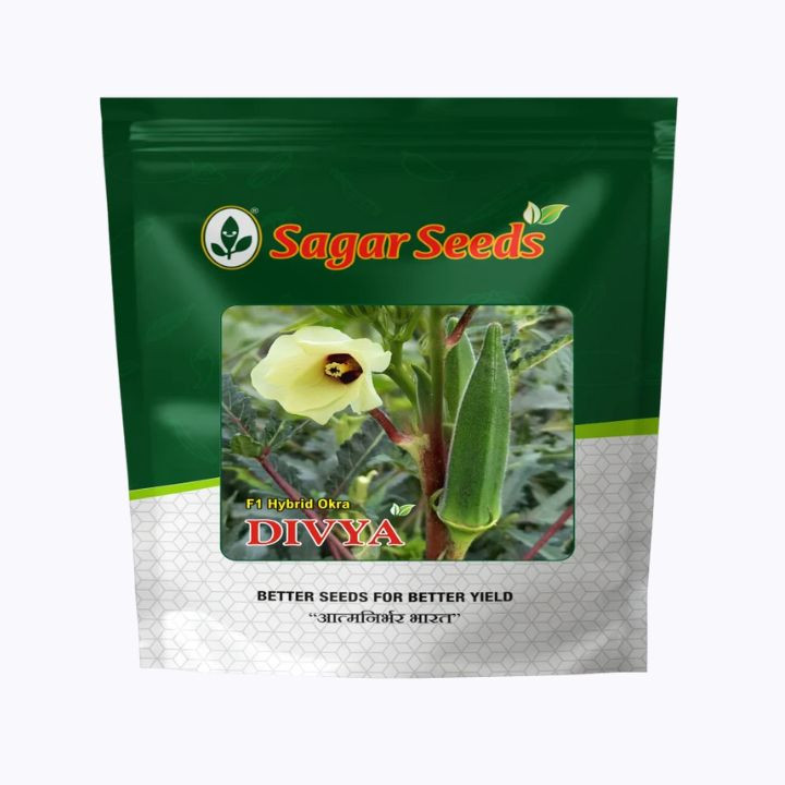 Sagar Divya Okra (Bhindi) Seeds