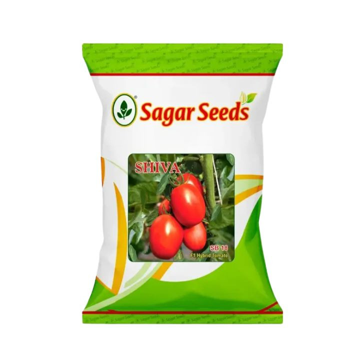 Sagar Shiva Tomato Seeds