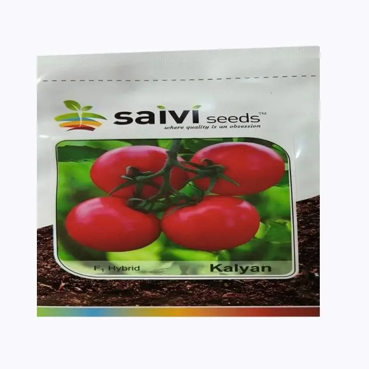 Saivi Kalyan Hybrid Tomato Seeds