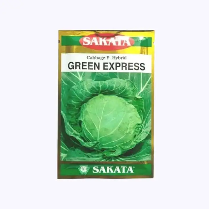 Sakata Green Express Cabbage Seeds-10gm – main view