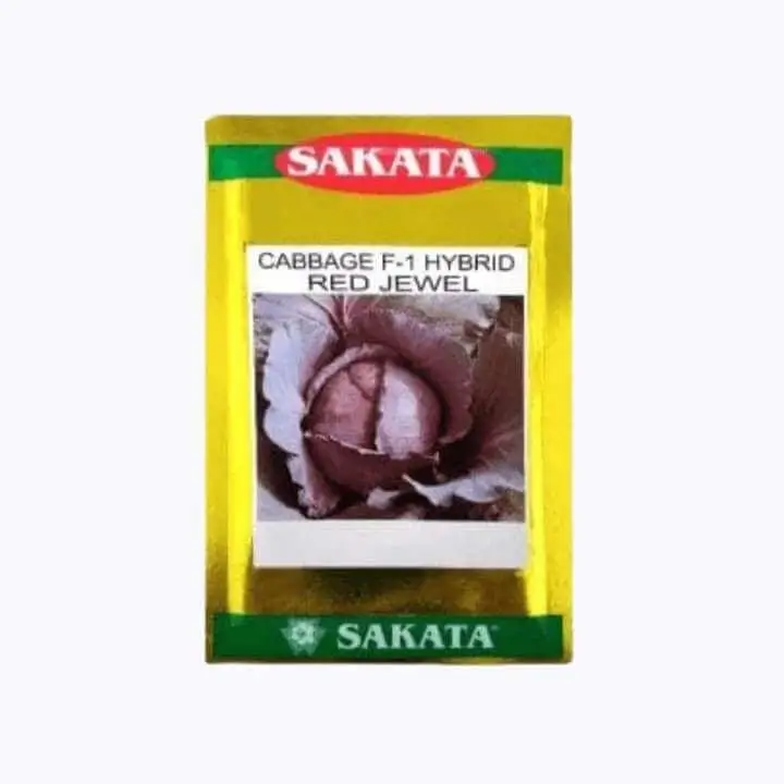 Sakata Red Jewel F1 Hybrid Cabbage Seeds - 10 gm – main view