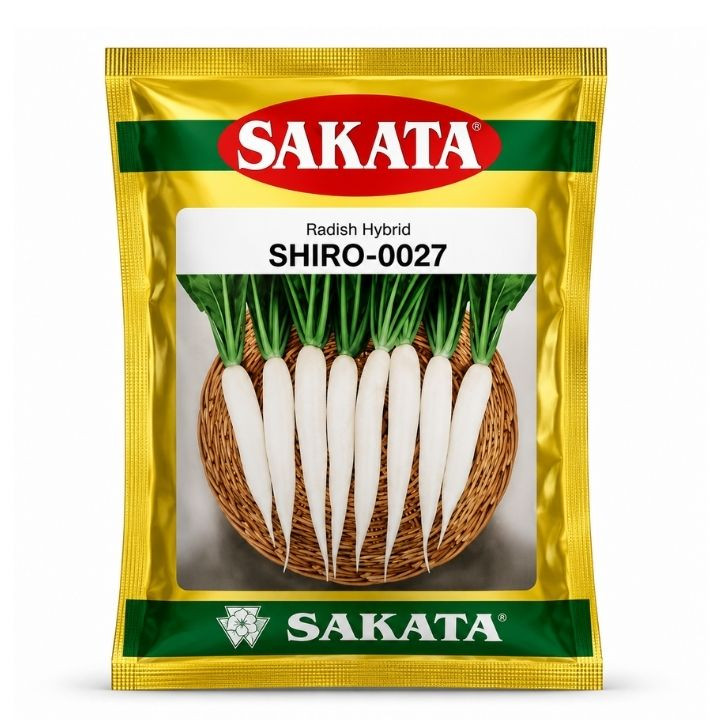 Sakata Shiro 0027 Radish Seeds