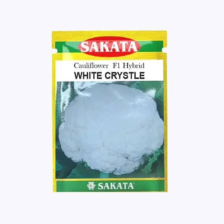 Sakata White Crystal Cauliflower – main view