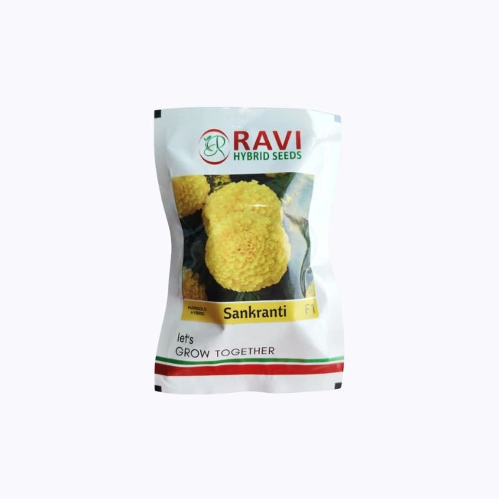 Ravi Sankranti F1 Hybrid Marigold Seeds
