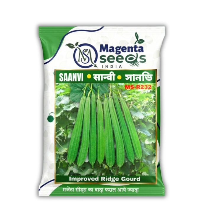 Sanvi OP Ridge Gourd Seeds