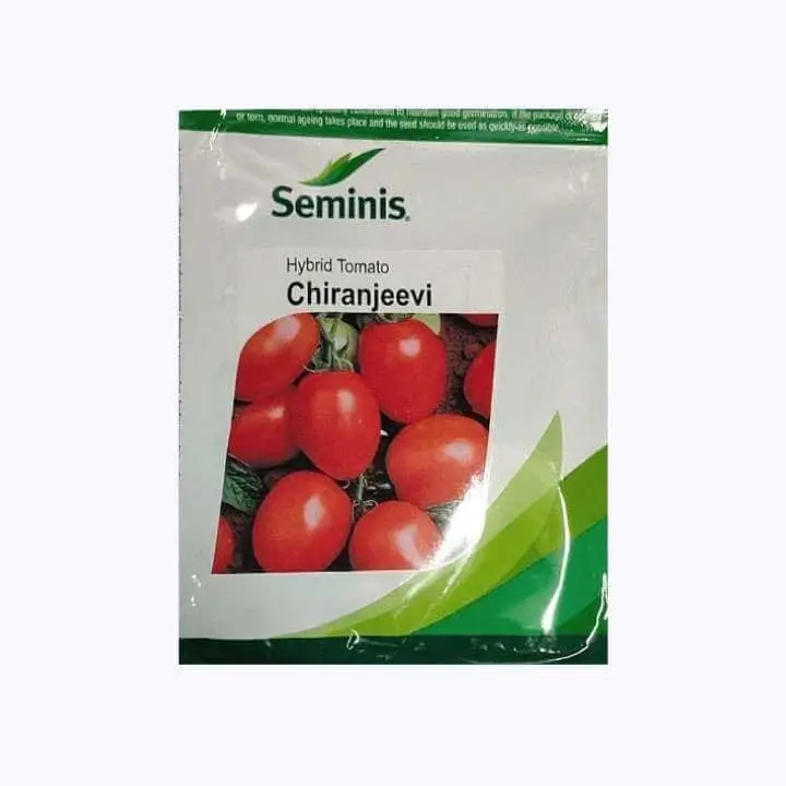 Seminis Chiranjeevi Tomato Seeds – main view
