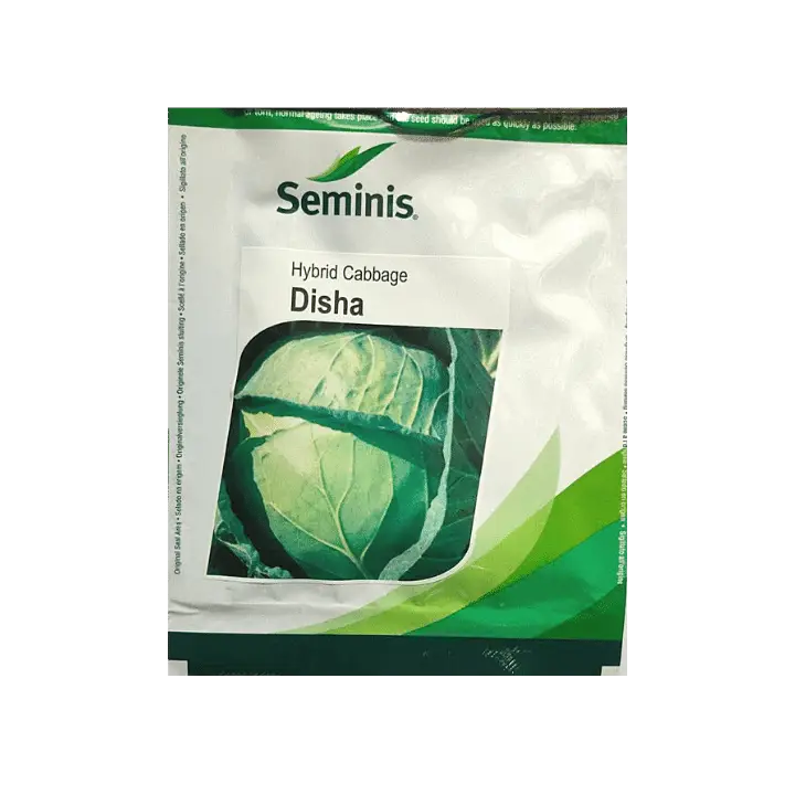 Seminis Disha Cabbage Seeds