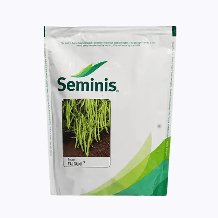 Seminis Falguni Garden Bean Seeds – main view