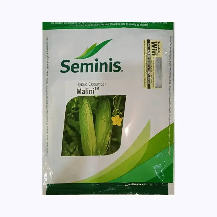 Seminis Malini Cucumber Seeds