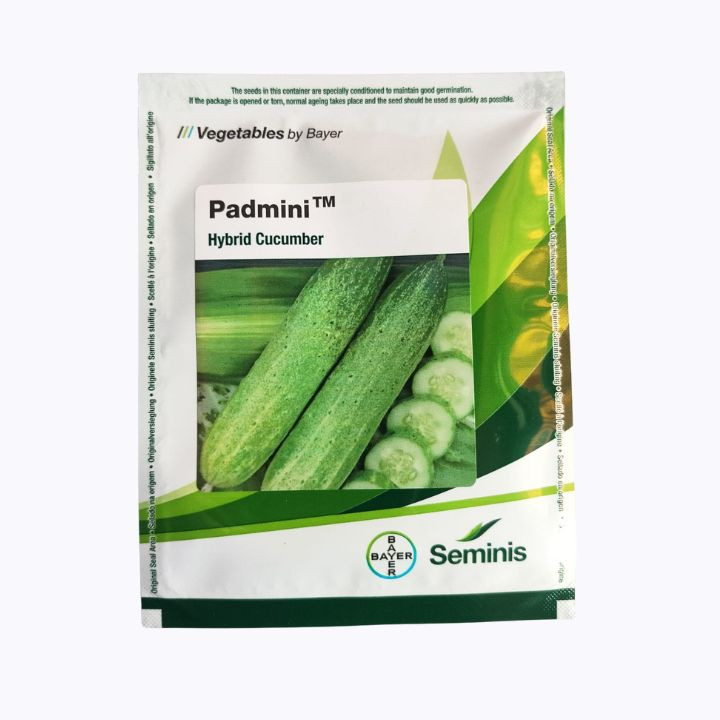 Seminis Padmini Hybrid Cucumber Seeds