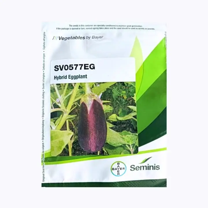 Seminis SV0577EG Brinjal Seeds – main view