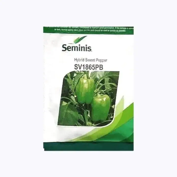 Seminis SV1865PB Hybrid Sweet Pepper (Capsicum) Seeds – main view