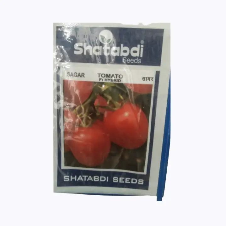 Shatabdi Sagar F1 Hybrid Tomato Seeds