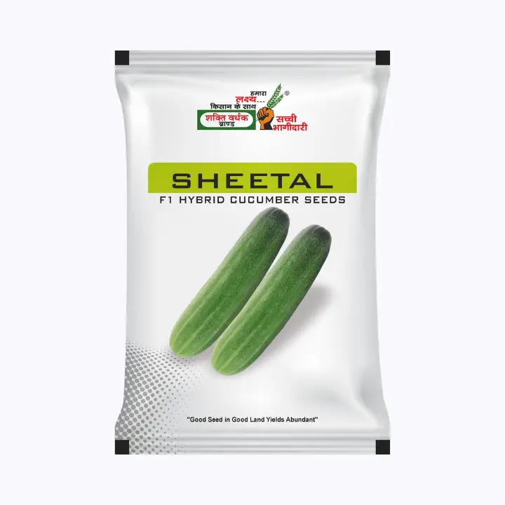 Sheetal SVHSPL Hy Cucumber Seeds – main view