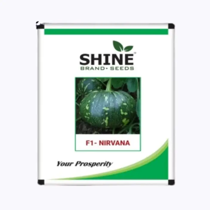 Shine Nirvana Pumpkin Seeds