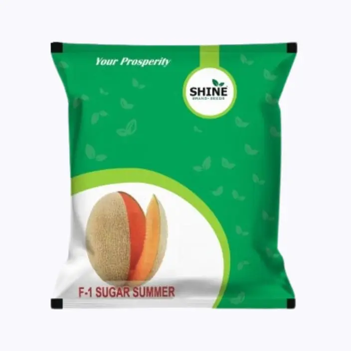 Shine Sugar Summer Muskmelon Seeds – main view