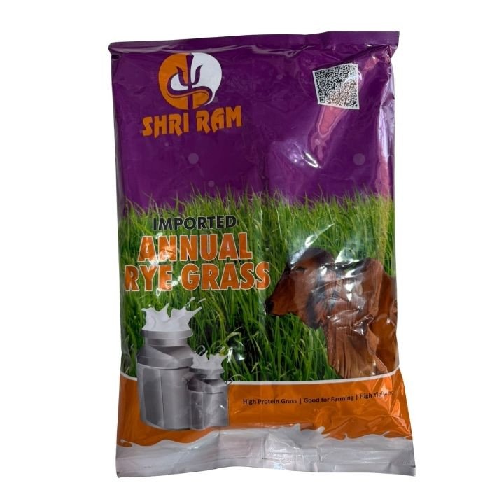 Shri Ram Imported Annual Ryegrass Seeds