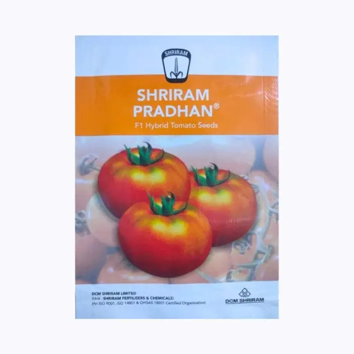 Shriram Pradhan Tomato Seeds – main view