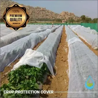 Siddhi Crop Cover - 5.25 Feet Height, Non-Woven Fabric Plant Cover (17 GSM Crop Guard)
