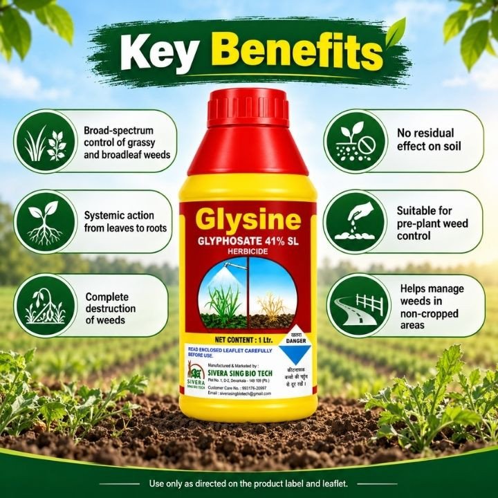 Silver Glysine Glyphosate 41% SL Herbicide – thumb