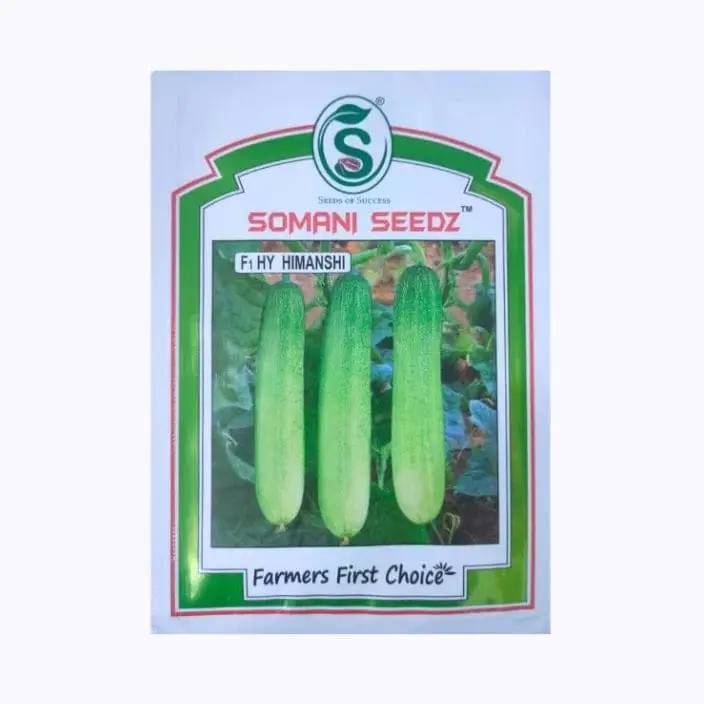 Somani Himanshi Cucumber Seeds – main view